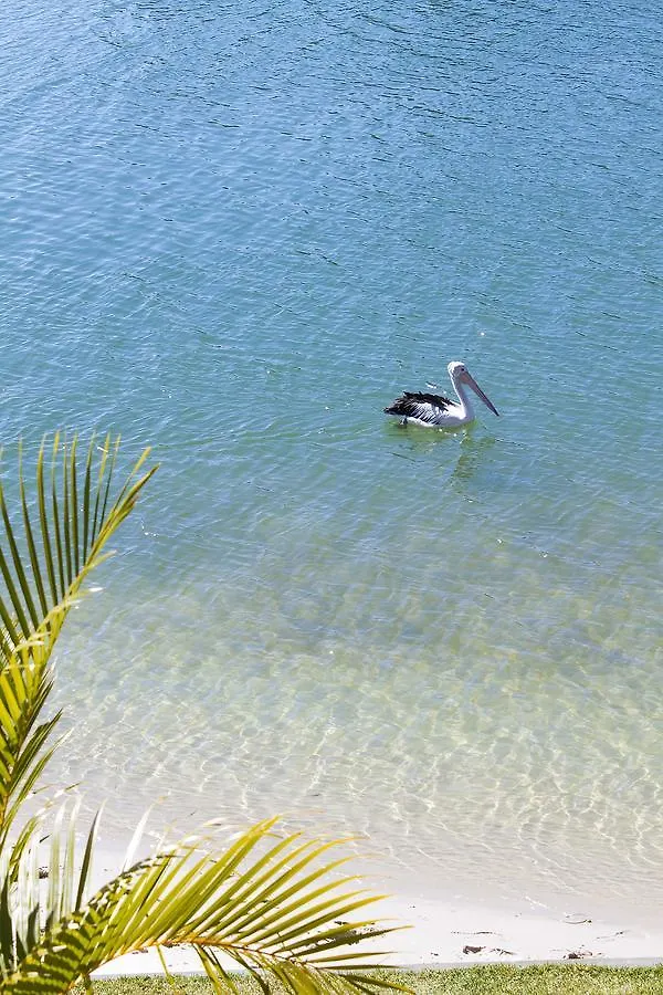 Noosa Haven Apt 12 Riverfront Elegance Noosaville Holiday home